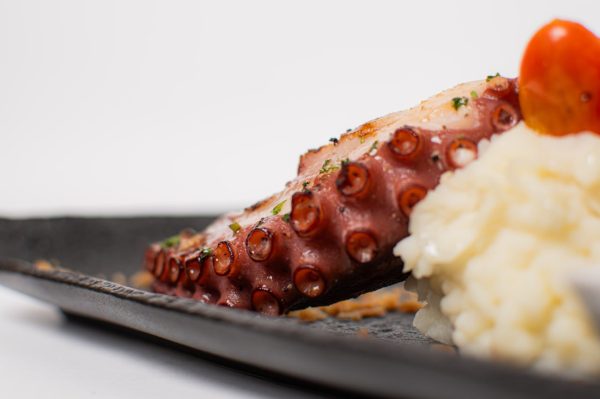 OCTOPUS IN RED CURRY SAUCE AND COCONUT MILK - Imagen 4